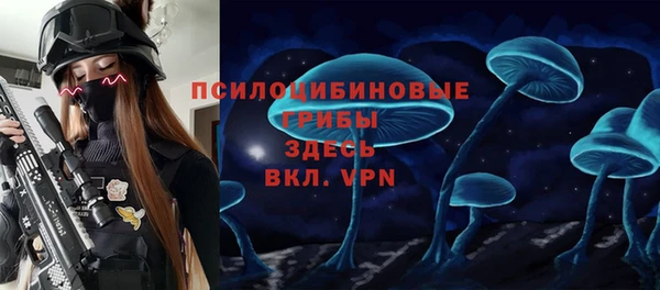 индика Кулебаки