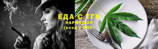 индика Кулебаки
