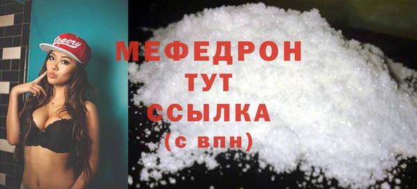 индика Кулебаки