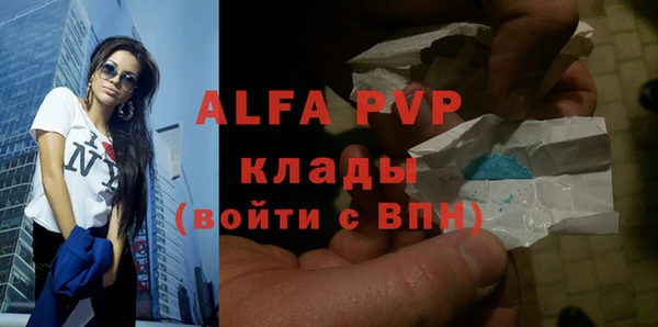 индика Кулебаки