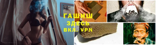 индика Кулебаки