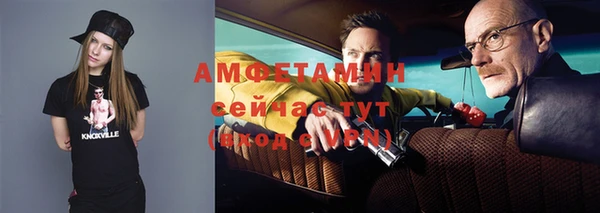 индика Кулебаки