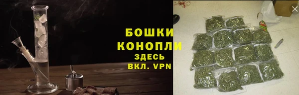 сатива Кукмор