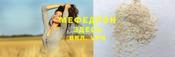 индика Кулебаки