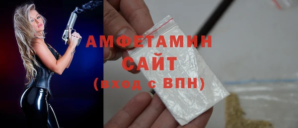 индика Кулебаки