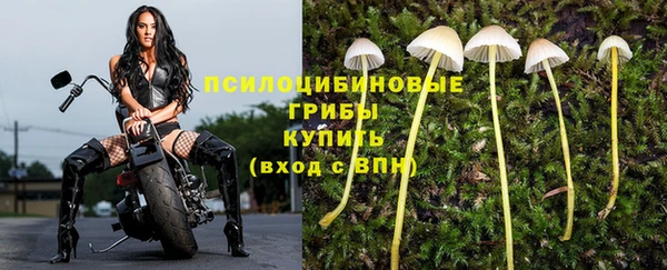 герыч Куйбышев