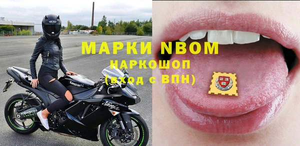 индика Кулебаки