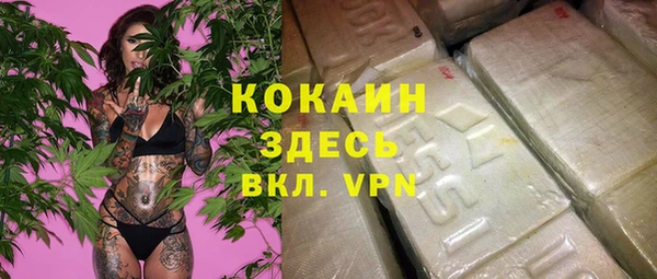 сатива Кукмор