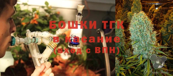 сатива Кукмор