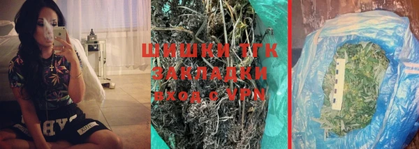 индика Кулебаки