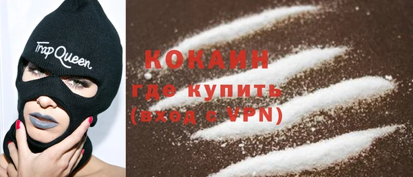 индика Кулебаки