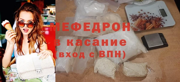 индика Кулебаки