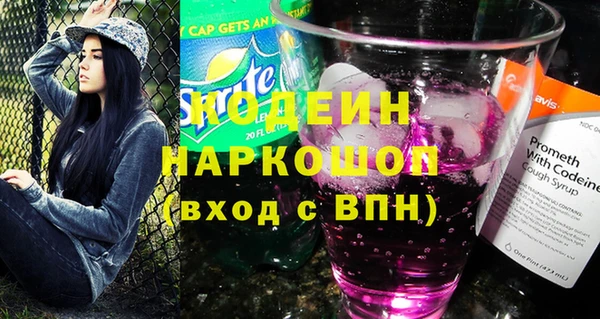индика Кулебаки