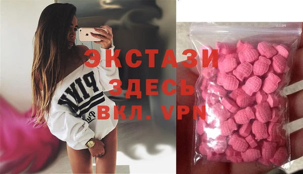 индика Кулебаки