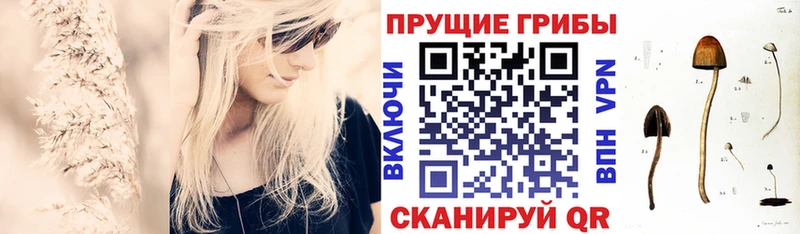 купить закладку  Фатеж  Галлюциногенные грибы Psilocybine cubensis 